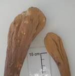 Herkules-Keule, Foto 23