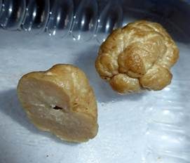 Kalaharitrüffel, Foto 6