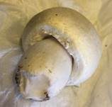 Karbol-Champignon, Foto 40