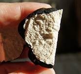 Karthäuser-Trüffel, Foto 7