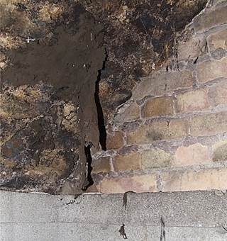 Kellerschimmel, Foto 2