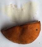 Knolliger Schleierritterling, Foto 39