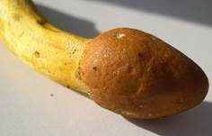 Kopfige Kernkeule, Foto 14
