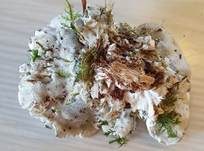 Blauer Saftporling, Foto 18