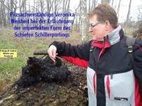 Schiefer Schillerporling, Foto 36