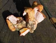 Tauber Reizker, Foto 17
