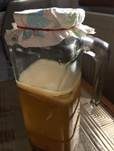 Teepilz, Foto 7