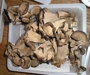 Totentrompete, Foto 26