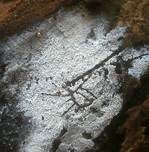Brinkmanns Schütterzahn, Foto 10