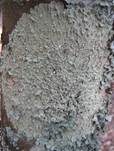 Caperatflechte, Foto 12