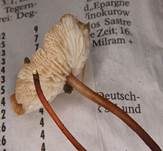 Echter Knoblauchschwindling, Foto 19
