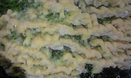 Falber-Steifporling, Foto 3
