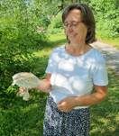 Fransiger Wulstling, Foto 81