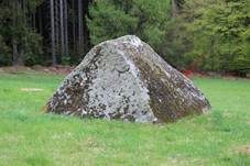 Großfruchtige Porpidia, Foto 10