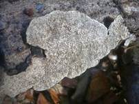 Großporige Datronie, Foto 9