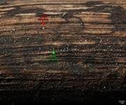 Holz-Glashaarbecherchen, Foto 16