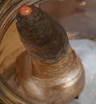 Hundsrute, Foto 10
