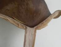 Kaffeebrauner Gabeltrichterling, Foto 24