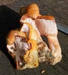 Tauber Reizker, Foto 25