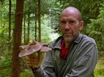 Breitblättriger Holzrübling, Foto 41
