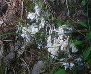Erdwachskruste, Foto 9